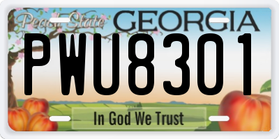 GA license plate PWU8301