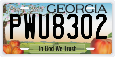 GA license plate PWU8302