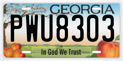 GA license plate PWU8303