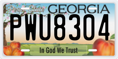 GA license plate PWU8304