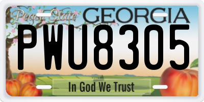 GA license plate PWU8305