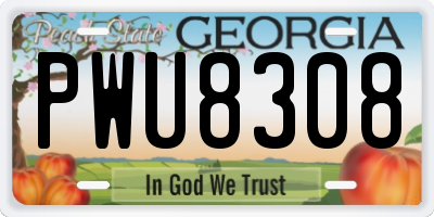GA license plate PWU8308