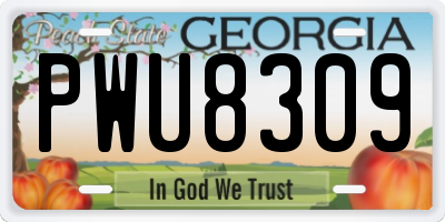 GA license plate PWU8309
