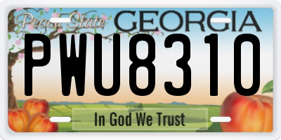 GA license plate PWU8310