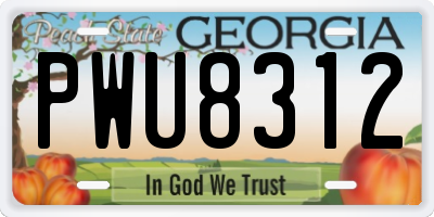 GA license plate PWU8312
