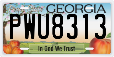 GA license plate PWU8313