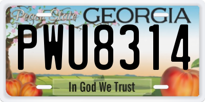 GA license plate PWU8314