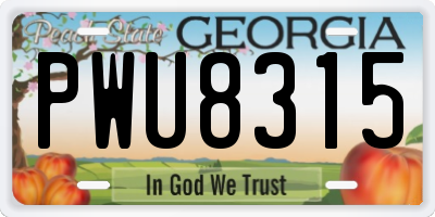 GA license plate PWU8315