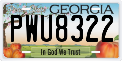 GA license plate PWU8322