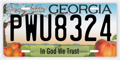 GA license plate PWU8324