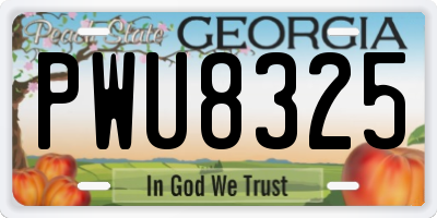 GA license plate PWU8325