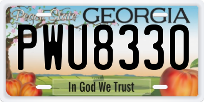 GA license plate PWU8330
