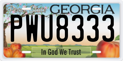 GA license plate PWU8333