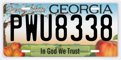 GA license plate PWU8338