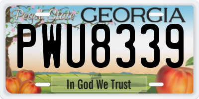 GA license plate PWU8339
