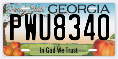 GA license plate PWU8340
