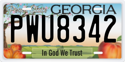 GA license plate PWU8342