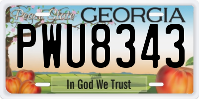 GA license plate PWU8343