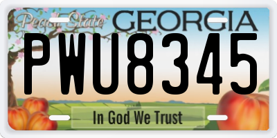 GA license plate PWU8345