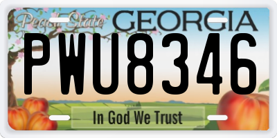 GA license plate PWU8346