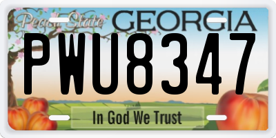 GA license plate PWU8347