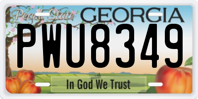 GA license plate PWU8349