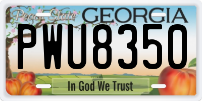 GA license plate PWU8350