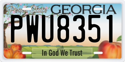 GA license plate PWU8351