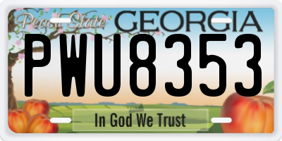 GA license plate PWU8353