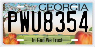 GA license plate PWU8354