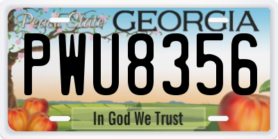 GA license plate PWU8356
