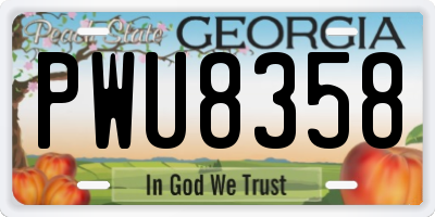 GA license plate PWU8358