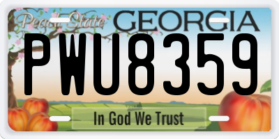 GA license plate PWU8359
