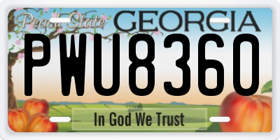 GA license plate PWU8360