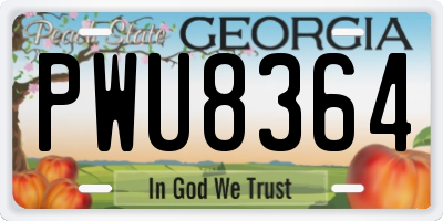 GA license plate PWU8364