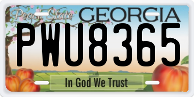 GA license plate PWU8365
