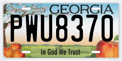 GA license plate PWU8370