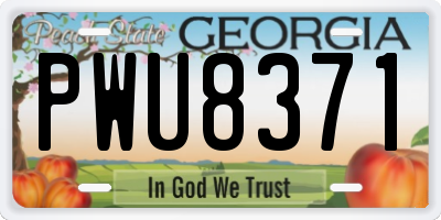 GA license plate PWU8371