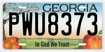 GA license plate PWU8373