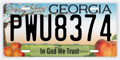 GA license plate PWU8374