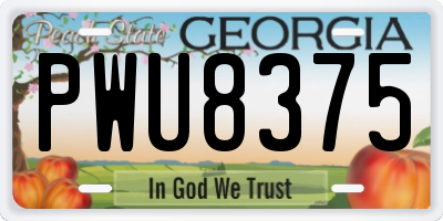 GA license plate PWU8375