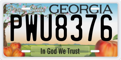 GA license plate PWU8376