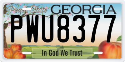 GA license plate PWU8377