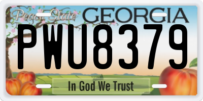 GA license plate PWU8379