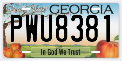 GA license plate PWU8381