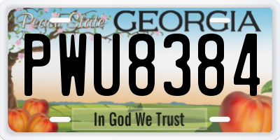 GA license plate PWU8384