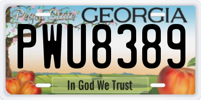 GA license plate PWU8389