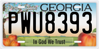 GA license plate PWU8393