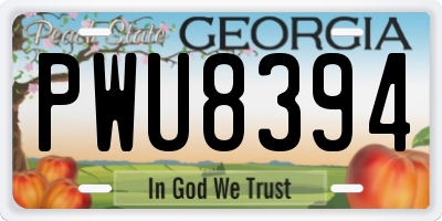 GA license plate PWU8394