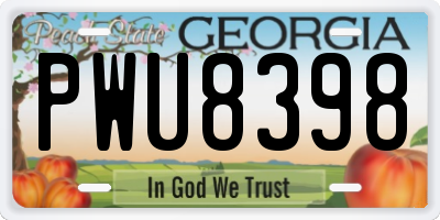 GA license plate PWU8398